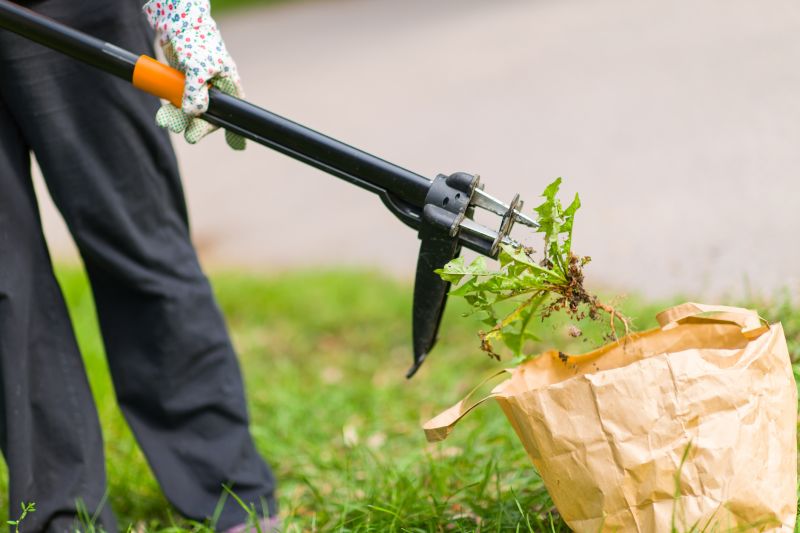 Cost of Wasp Nest Removal — Cost of Wasp Nest Removal