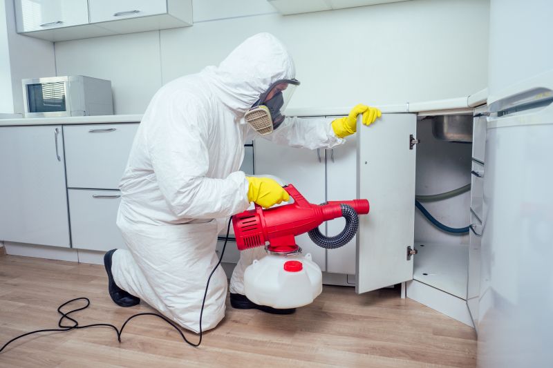 Cost of Wasp Nest Removal — Cost of Wasp Nest Removal