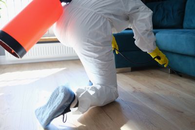 Fumigation Service in Katy, TX